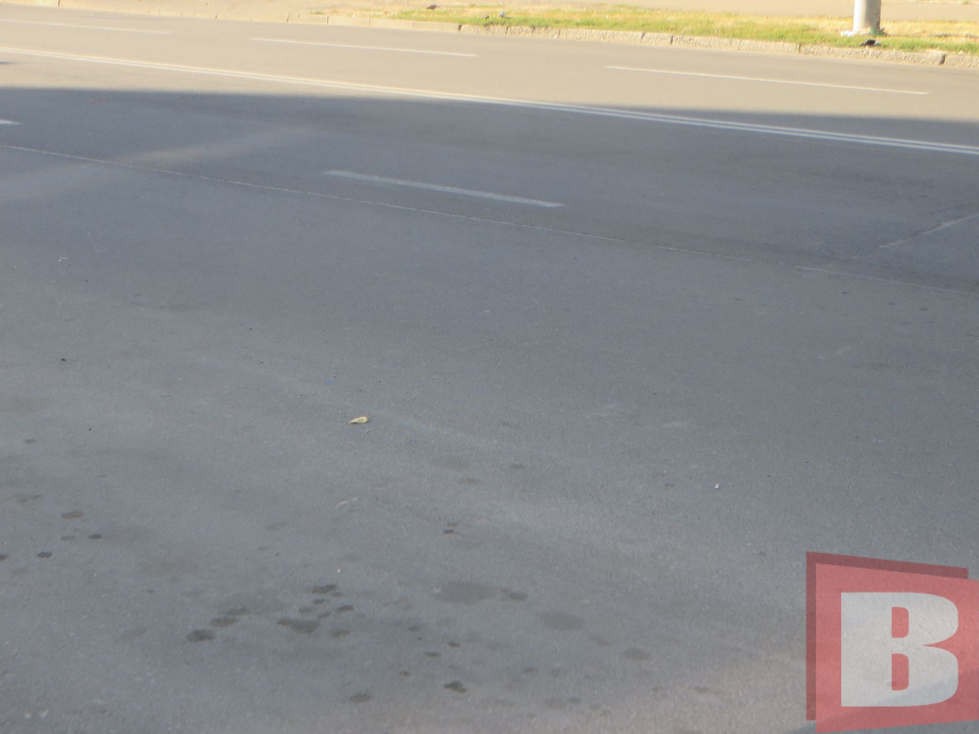 Панаса Мирного