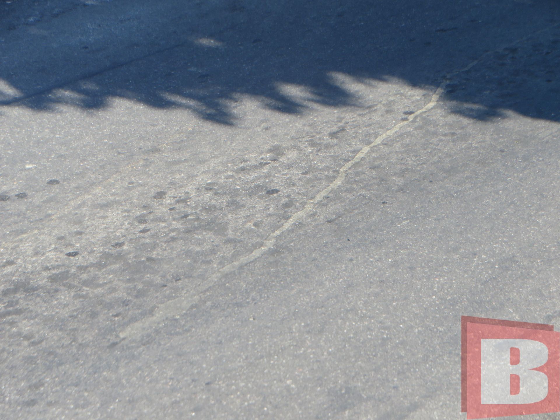 Трудова біля проспекту Миру