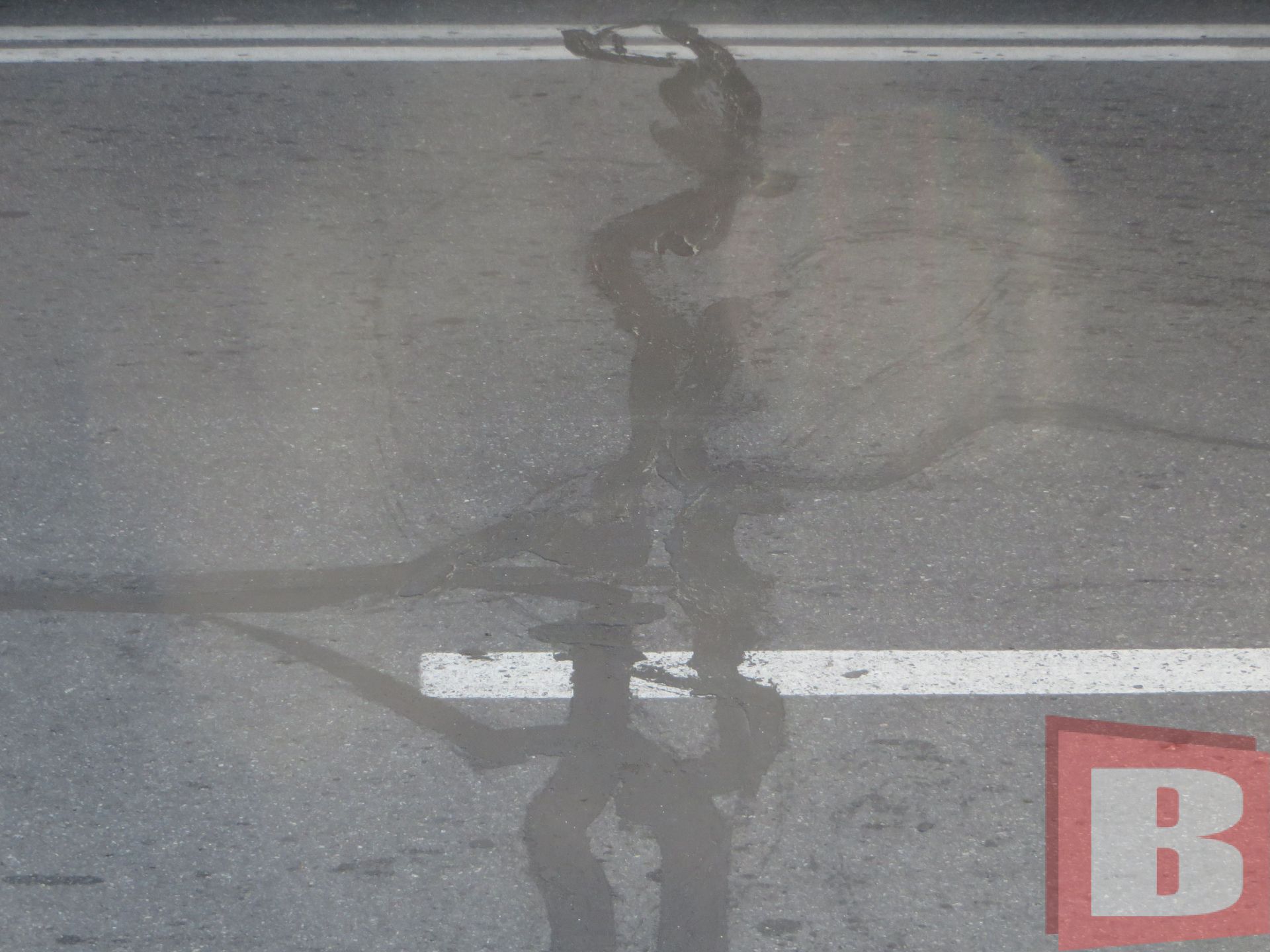 Трудова біля проспекту Миру