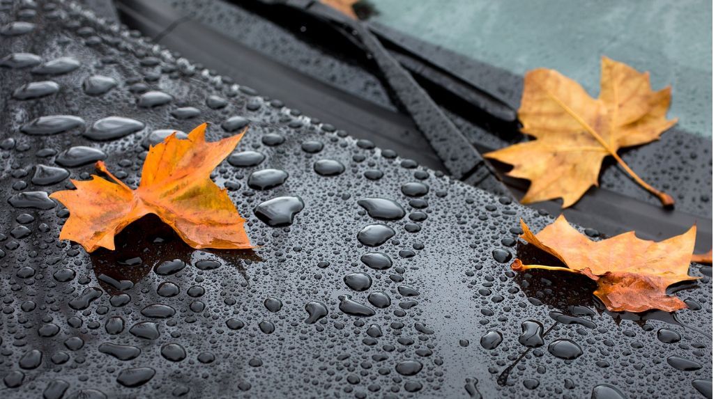 Прикарпатців попереджають про погіршення погоди