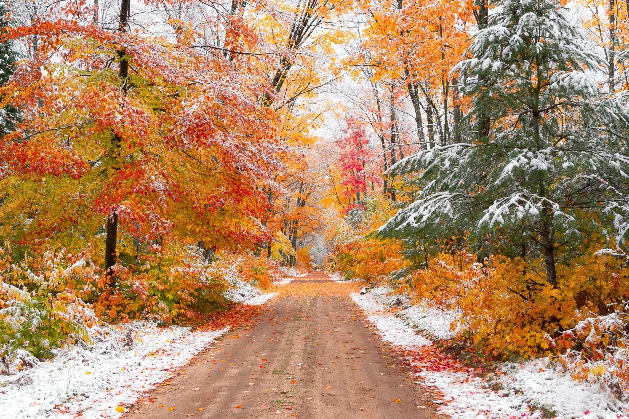 Природа в ноябре. Поздняя осень. Ранняя зима. Поздней осенью. Октябрь природа.