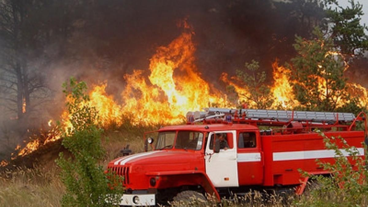 Почему горят пожары. Лесные пожары. Пожарная машина в лесу. Горящий лес пожарная машина. Пожарная обстановка.